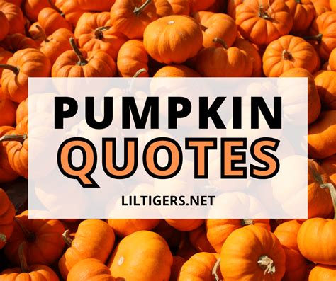 pumpkin quotes short|pumpkin patch signs and sayings.